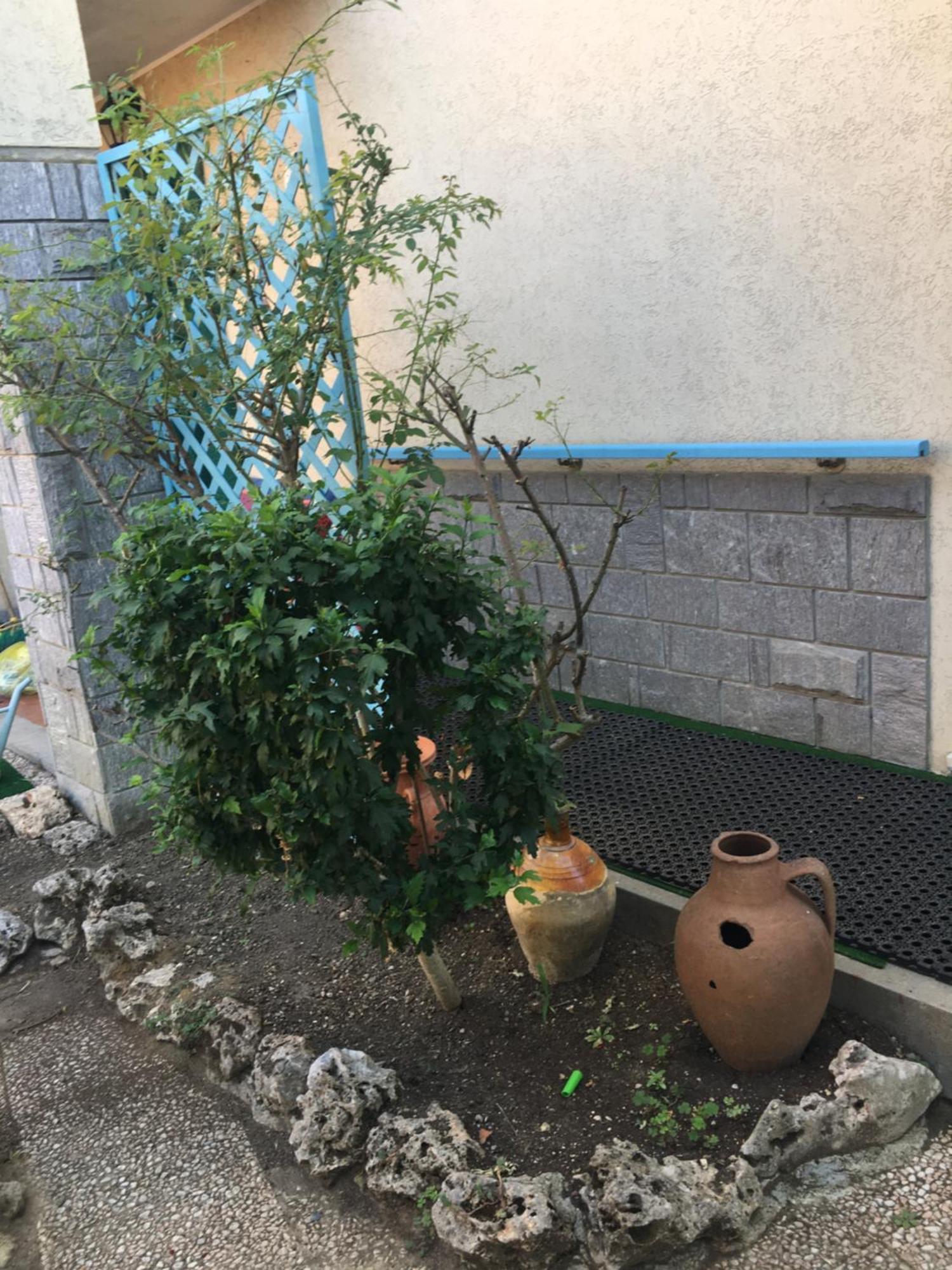 Lerosedimiamamma Apartment Cassine Екстериор снимка